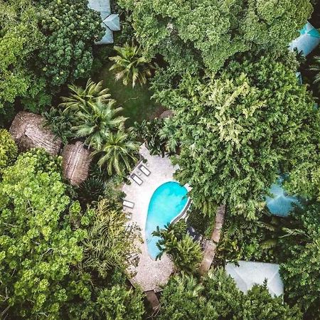 Copal Tree Lodge A Muy'Ono Resort Toledo District 外观 照片