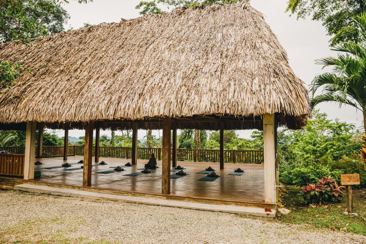 Copal Tree Lodge A Muy'Ono Resort Toledo District 外观 照片
