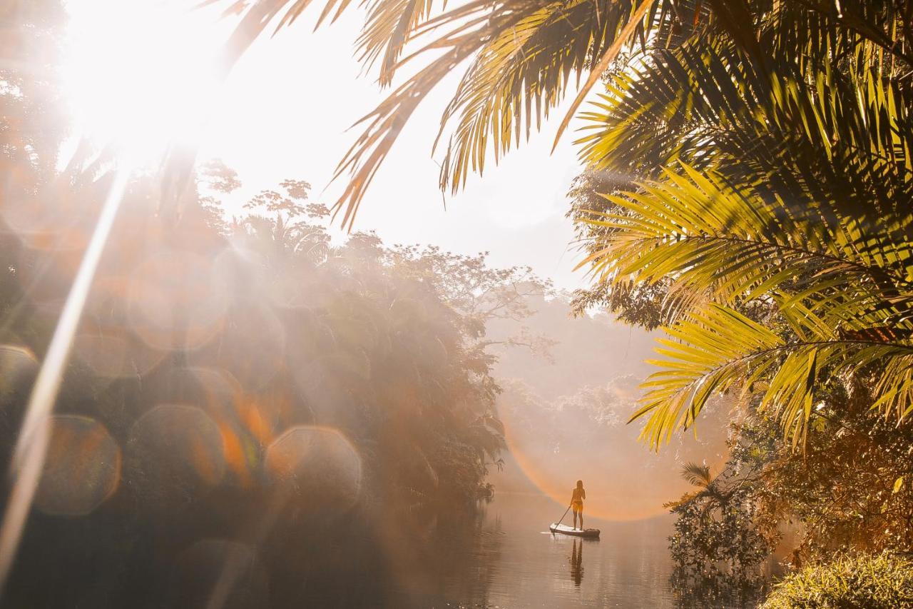 Copal Tree Lodge A Muy'Ono Resort Toledo District 外观 照片