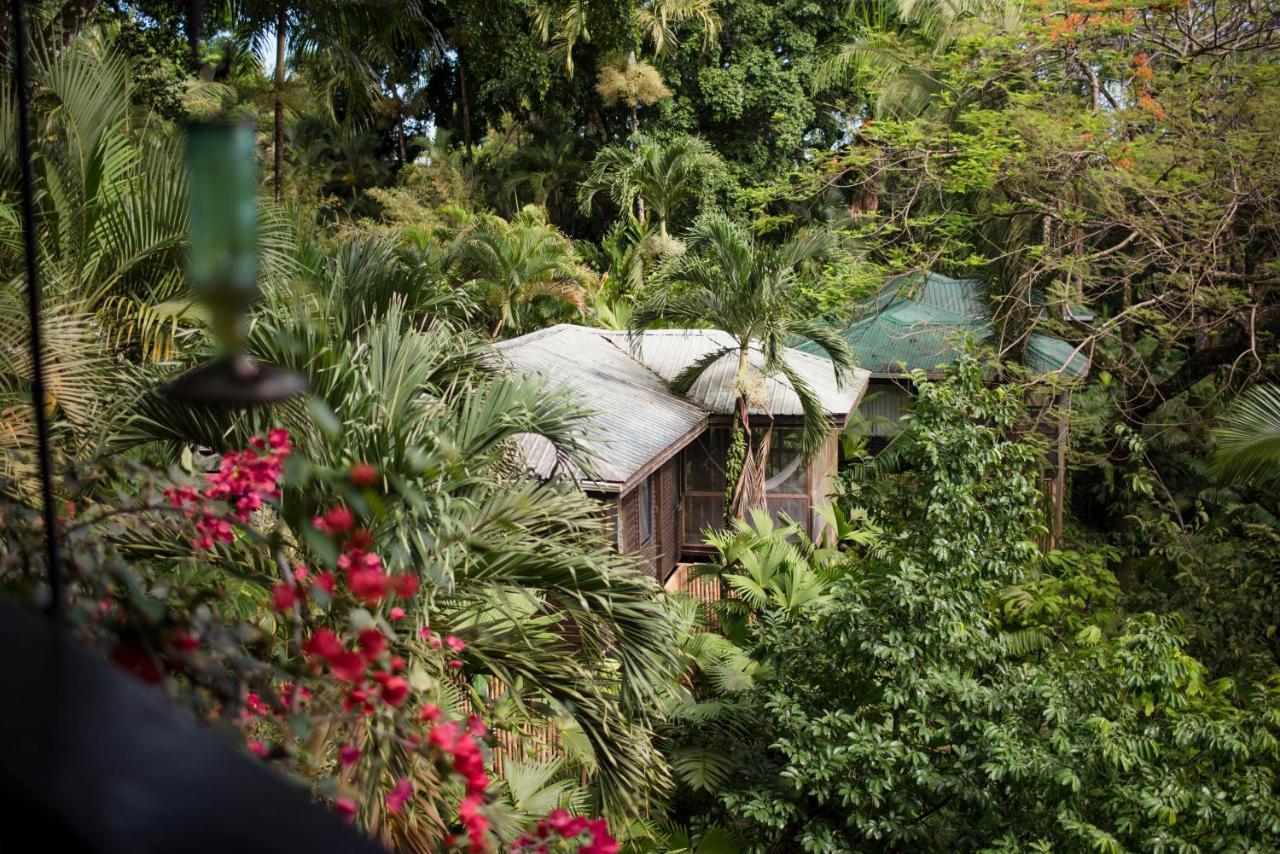 Copal Tree Lodge A Muy'Ono Resort Toledo District 外观 照片