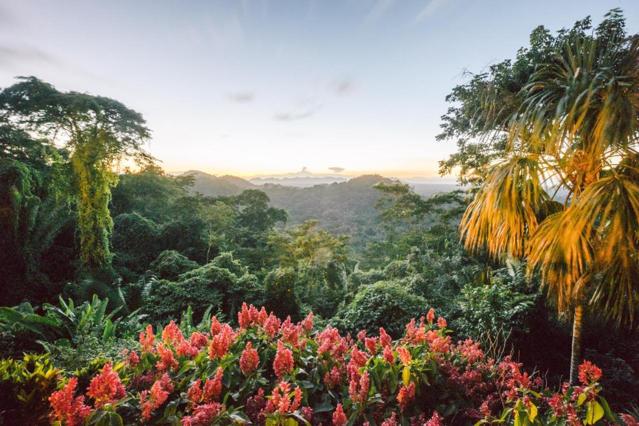 Copal Tree Lodge A Muy'Ono Resort Toledo District 外观 照片