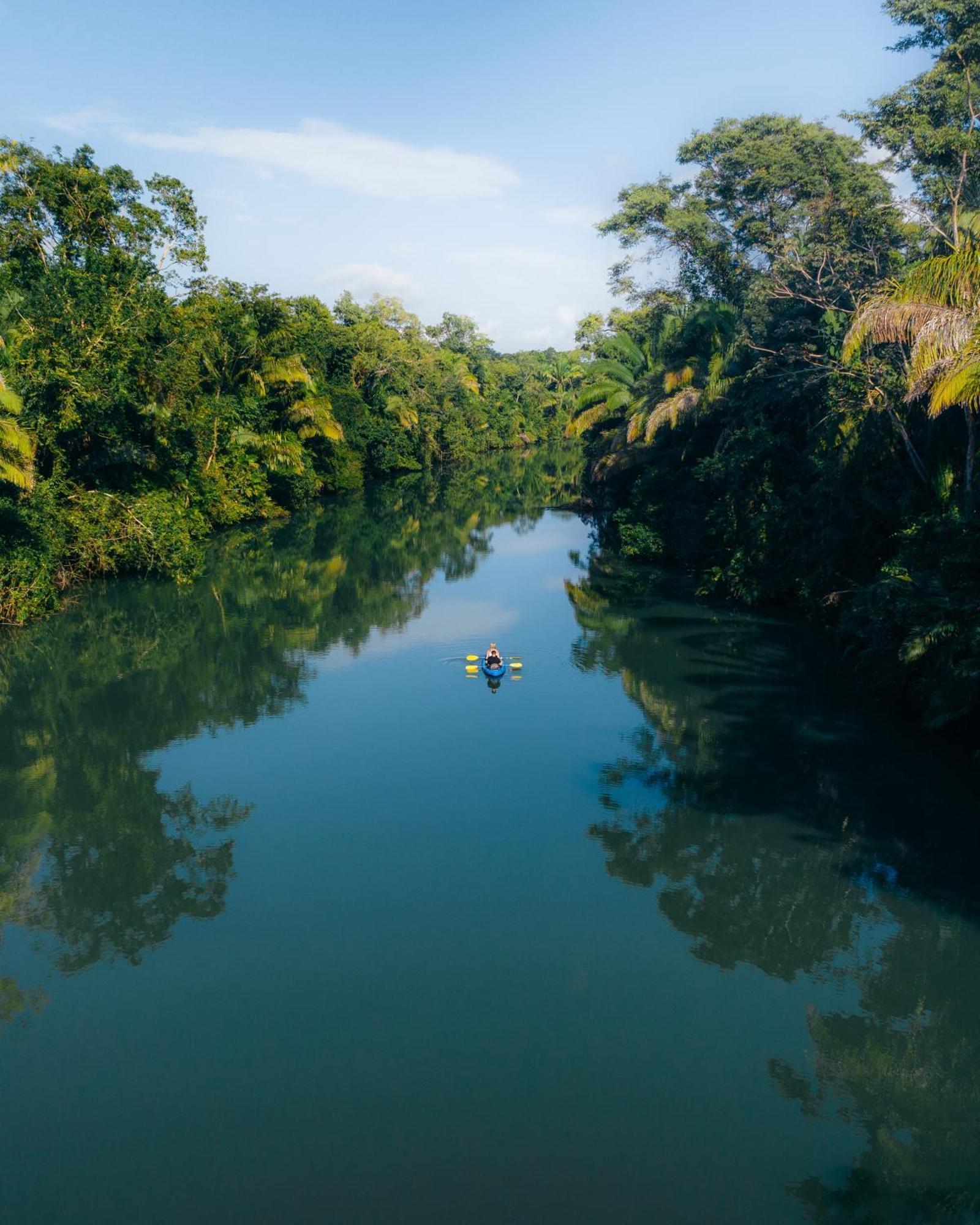 Copal Tree Lodge A Muy'Ono Resort Toledo District 外观 照片