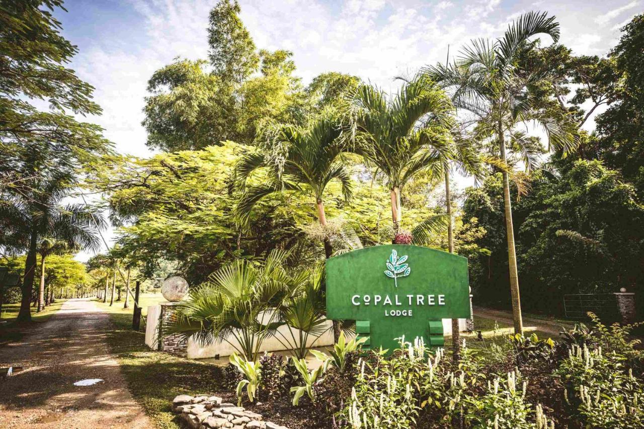 Copal Tree Lodge A Muy'Ono Resort Toledo District 外观 照片